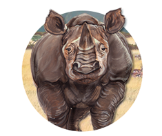 Rhino