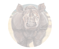 Rhino