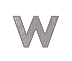 Wildebeest