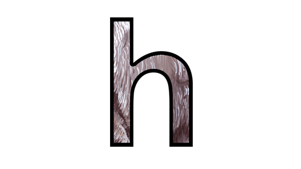 Letter E