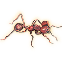 ant