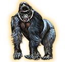 gorilla
