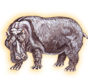 hippo