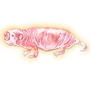 naked mole rat