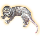 otter