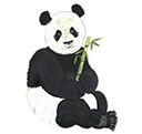 panda