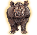 rhino