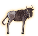 wildebeest