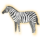 zebra