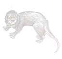 otter