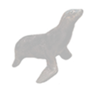 sea lion