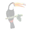 toucan