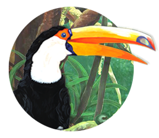 toucan
