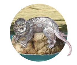 otter