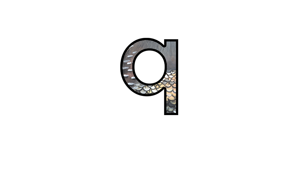 Letter Q