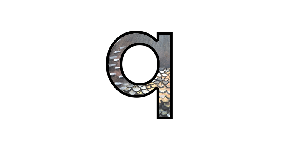letter q
