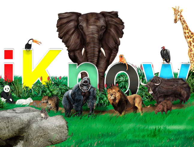 monkey_02