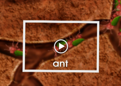 The Secret Letter “A”