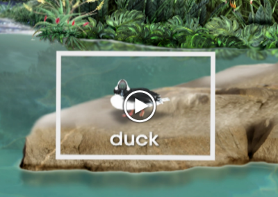 The Secret Letter “D”