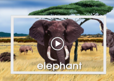 The Secret Letter “E”