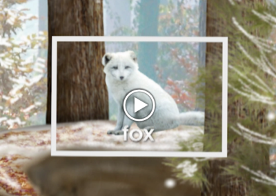 The Secret Letter “F”