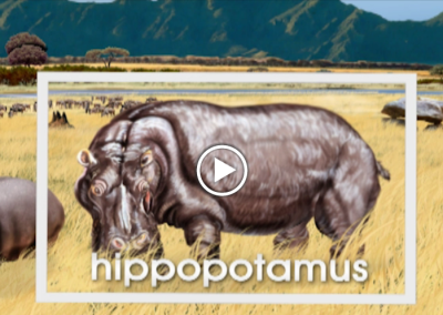 The Secret Letter “H”