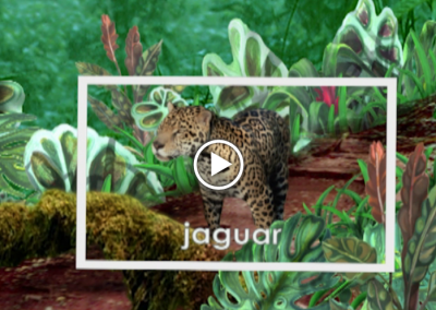 The Secret Letter “J”