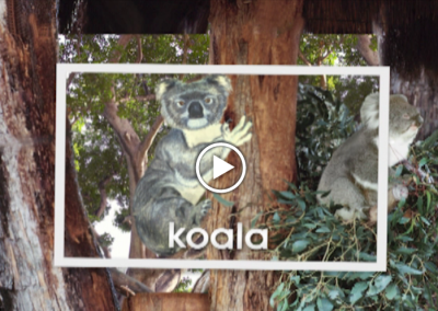 The Secret Letter “K”