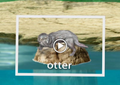 The Secret letter “O”