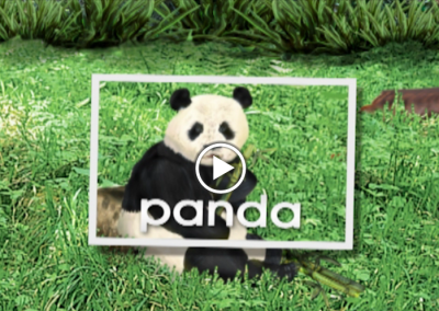 The Secret Letter “P”