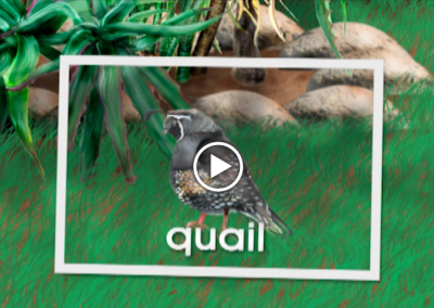 The Secret Letter “Q”