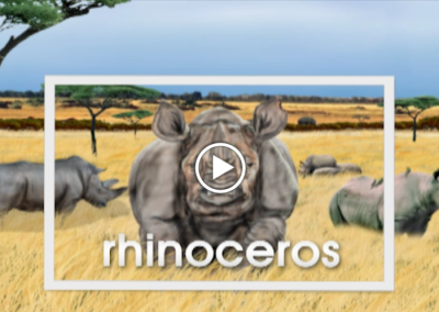 The Secret Letter “R”