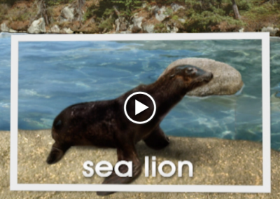 The Secret Letter “S”