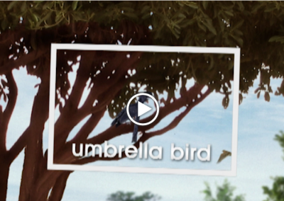 The Secret Letter “U”