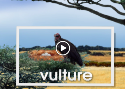 The Secret Letter “V”