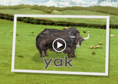 The Secret Letter “Y”