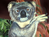 monkey_02