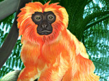 monkey_02