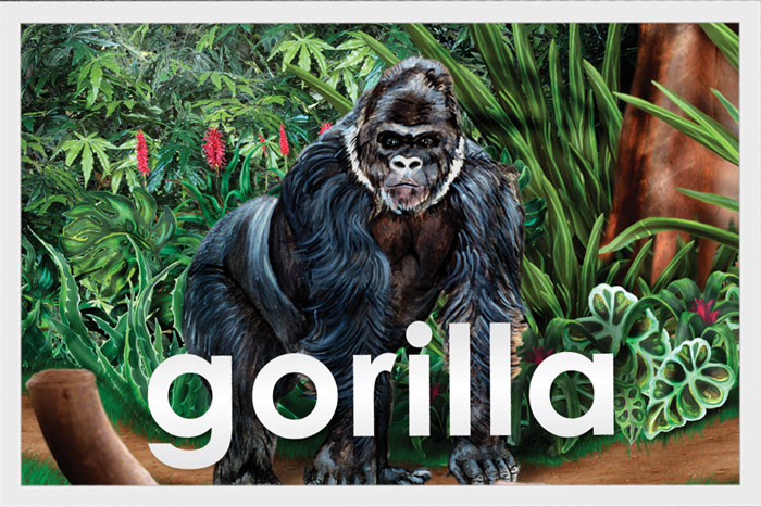 Gorilla