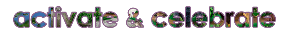 Level 5: Activate & Celebrate