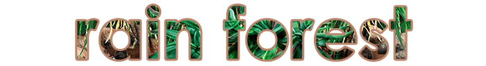 Level 2 The Rain Forest Title