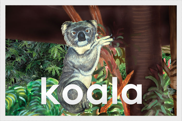 Koala