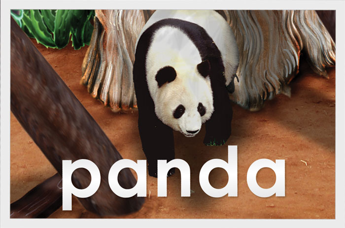 Panda