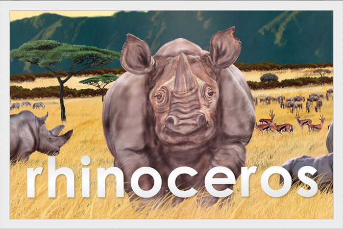 Rhinoceros