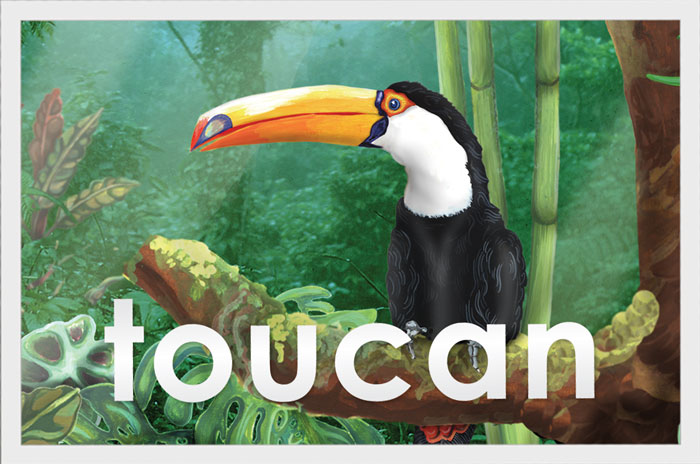 toucan-polaroid