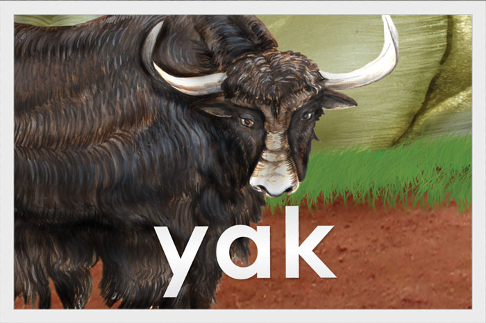 Yak