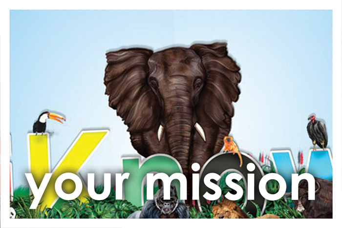 Your Mission