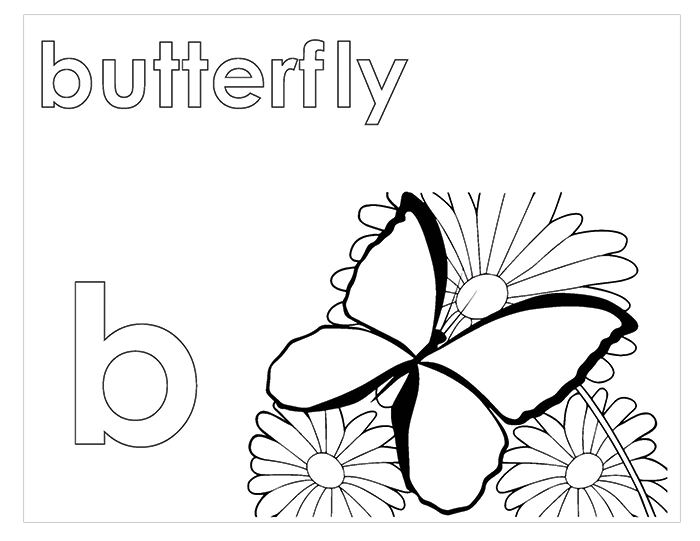 B - Activity Book