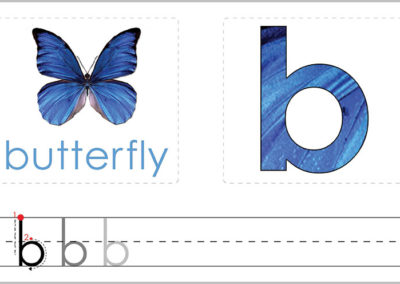 B – Write the Letter