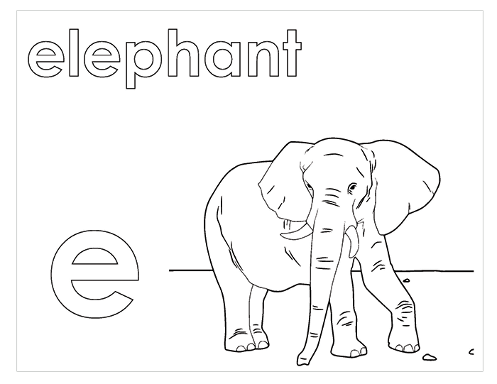 Activity Book